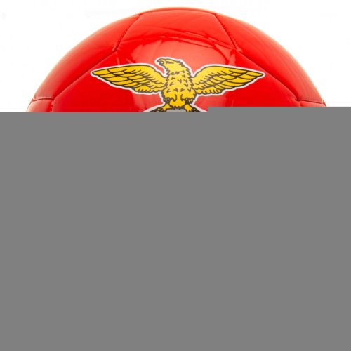 SL Benfica Football