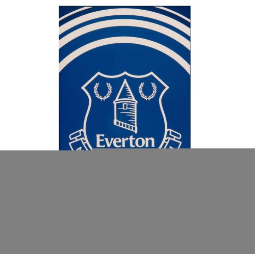 Everton FC Pulse Towel