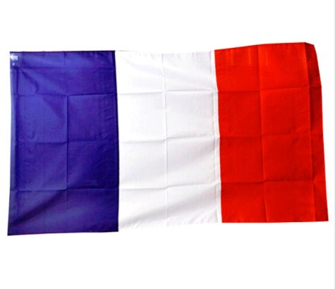 France World Cup Flag