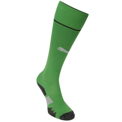 2016-2017 Newcastle Home Goalkeeper Socks (Green)