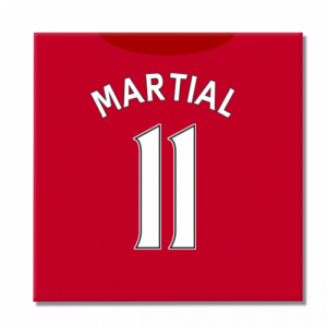 2016-2017 Man United Canvas Print (Martial 11)