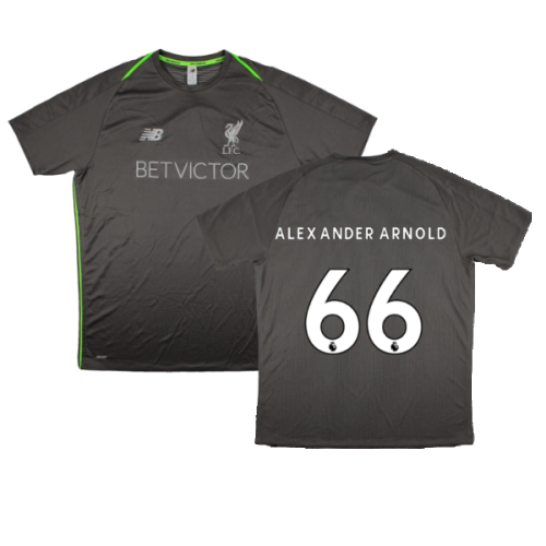 2018-2019 Liverpool Elite Training Jersey (Grey) (Alexander Arnold 66)