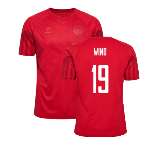 2022-2023 Denmark Home Jersey (Wind 19)