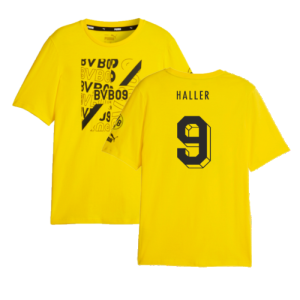 2023-2024 Borussia Dortmund FtblCore Graphic Tee (Yellow) (Haller 9)