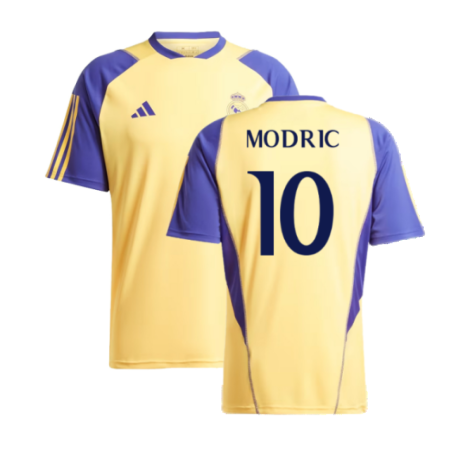 2023-2024 Real Madrid Training Shirt (Spark) (Modric 10)