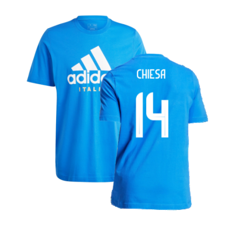 2024-2025 Italy DNA Graphic Tee (Blue) (CHIESA 14)