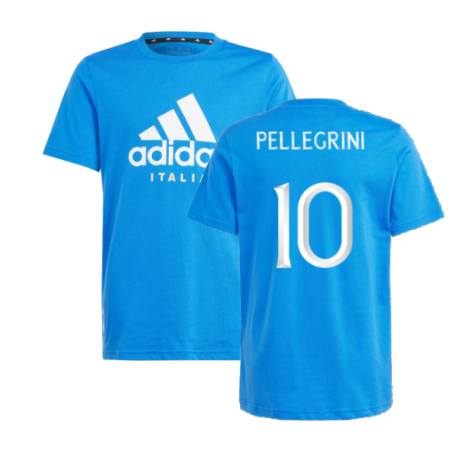 2024-2025 Italy DNA Tee (Blue) - Kids (PELLEGRINI 10)