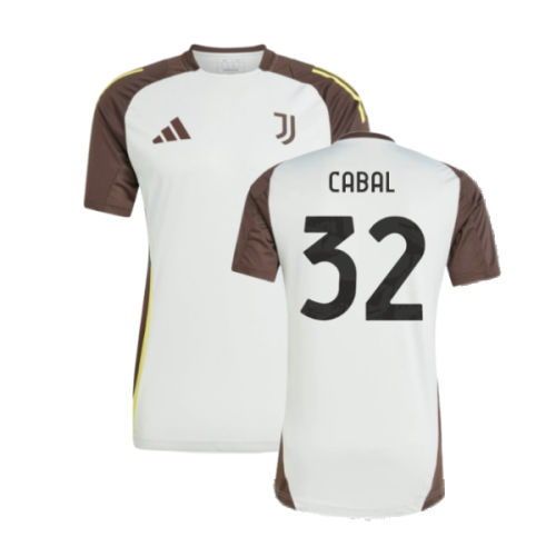 2024-2025 Juventus EU Training Jersey (Silver) (Cabal 32)