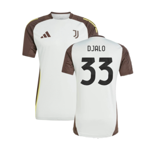 2024-2025 Juventus EU Training Jersey (Silver) (Djalo 33)