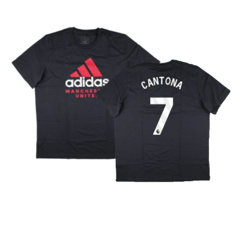 2024-2025 Man Utd Seasonal Graphic Tee (Night Grey) (Cantona 7)