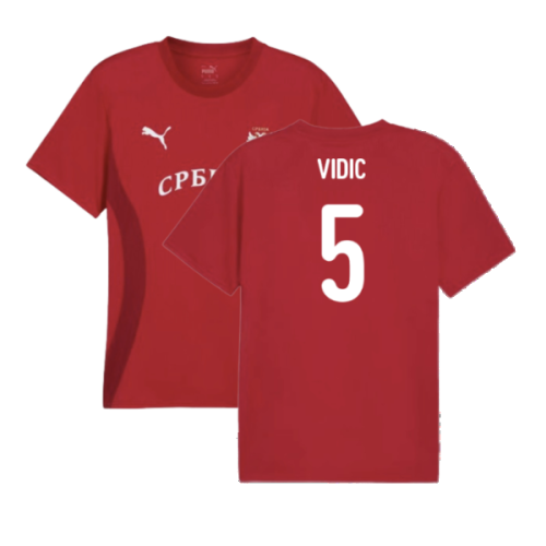 2024-2025 Serbia Pre-Match Jersey (Dark Cherry) (Vidic 5)