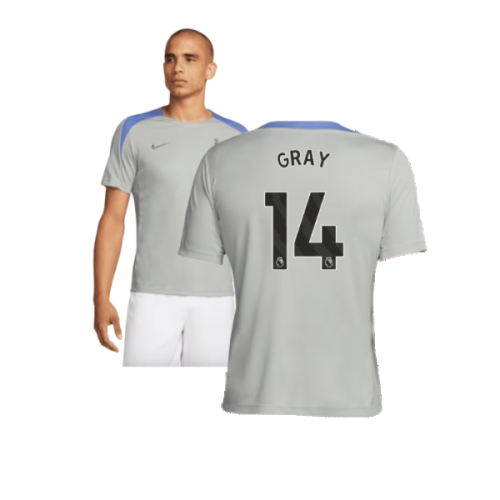 2024-2025 Tottenham Strike Training Jersey (Grey) (Gray 14)