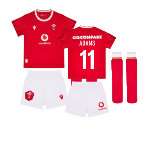 2024-2025 Wales Home Rugby Mini Kit (Adams 11)