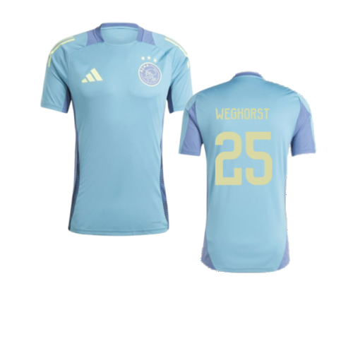 2024-2025 Ajax Training Jersey (Tactile Steel) (Weghorst 25)