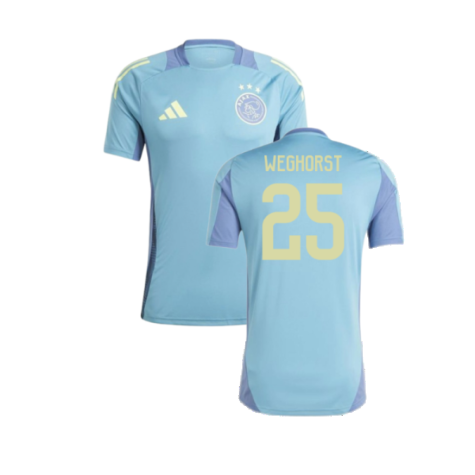 2024-2025 Ajax Training Jersey (Tactile Steel) (Weghorst 25)