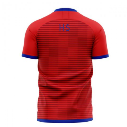 South Korea 2024-2025 Home Concept Football Kit (Libero) (H S WOOK)