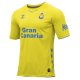 Home Shirts