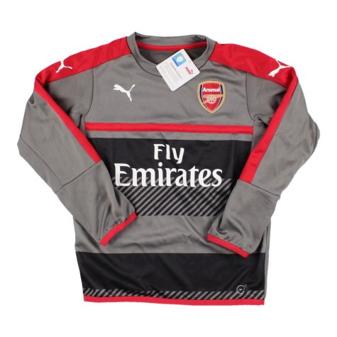 2016-2017 Arsenal Training Sweat (Steel Gray) - Kids