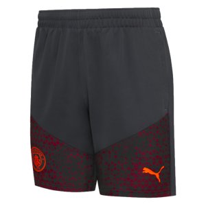 2023-2024 Man City Training Shorts (Grey)