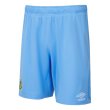 2023-2024 Burnley Home Shorts (Blue)