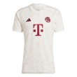 2023-2024 Bayern Munich Third Shirt