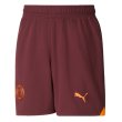 2023-2024 Man City Away Shorts (Aubergine) - Kids