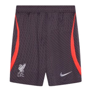 2023-2024 Liverpool Strike Training Shorts (Gridiron) - Kids