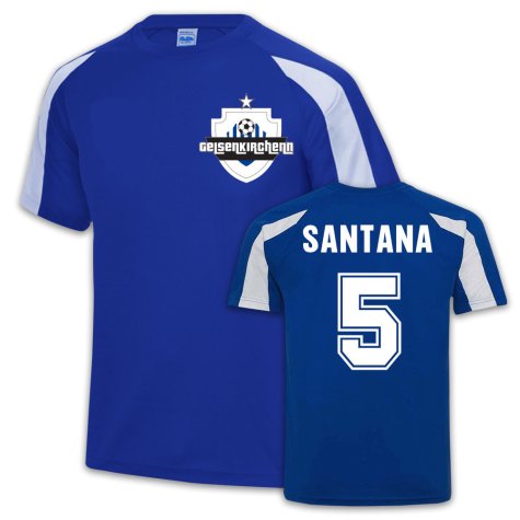 Schalke Sports Training Jersey (Felipe Santana 5)
