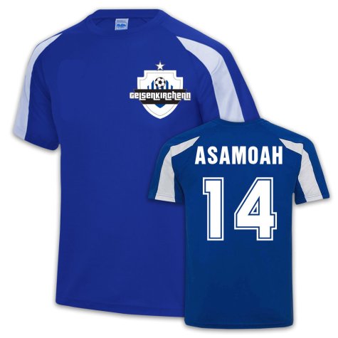 Schalke Sports Training Jersey (Gerald Asamoah 14)