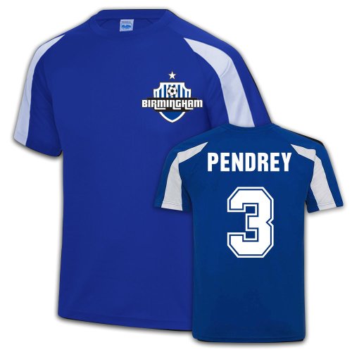 Birmingham City Sports Training Jersey (Garry Pendrey 3)