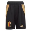 2024-2025 Belgium Home Shorts (Black) - Kids