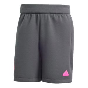 2024-2025 Germany Travel Shorts (Carbon)