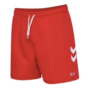 2024-2025 Denmark Swim Shorts (Red)