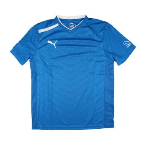 Puma Training Tee (Blue)