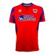 Home Shirts