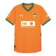 Third Shirts