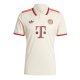 Third Shirts