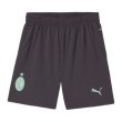 2024-2025 AC Milan Third Shorts (Grey) - Kids