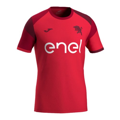 2024-2025 Torino Training Shirt (Red)