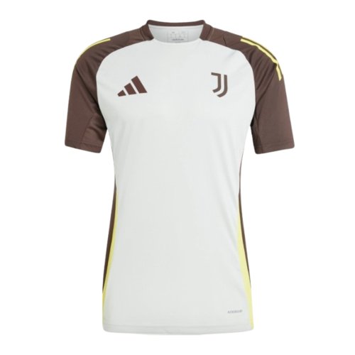 2024-2025 Juventus EU Training Jersey (Silver)