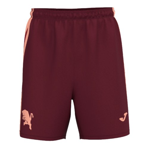 2024-2025 Torino Training Shorts (Burgundy)