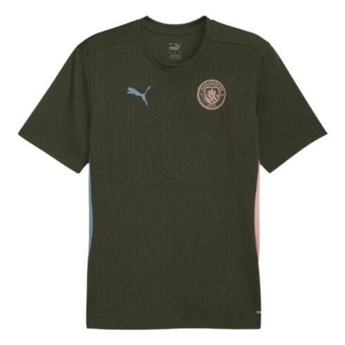 2024-2025 Man City Training Shirt (Myrtle)