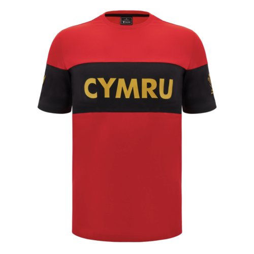 2024-2025 Wales Rugby Leisure T-Shirt (Red)