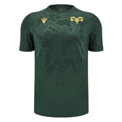 2024-2025 Ospreys Poly Training Shirt (Green)