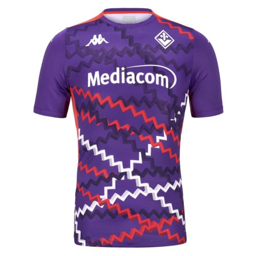 2024-2025 Fiorentina Training Shirt (Purple)