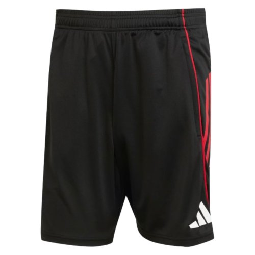 2025-2026 Ajax Training Shorts (Black)