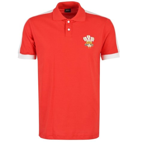 Wales Rugby World Cup Polo