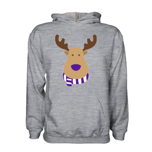 Anderlecht Rudolph Supporters Hoody (grey) - Kids