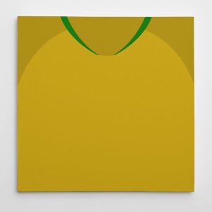 Brazil 2018 Football Canvas Print Brazil 2018 Football Canvas Print