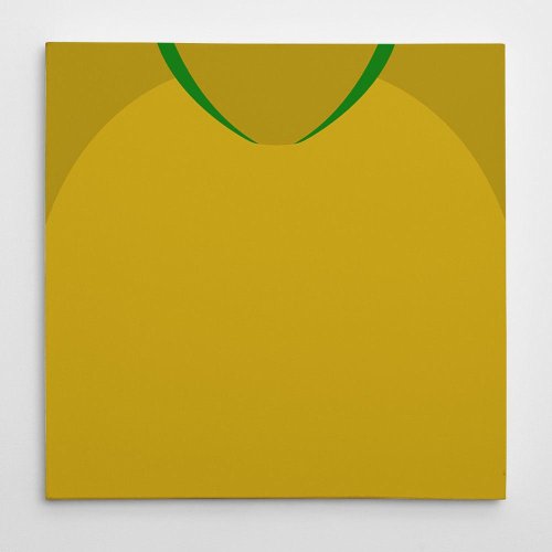 Brazil 2018 Football Canvas Print